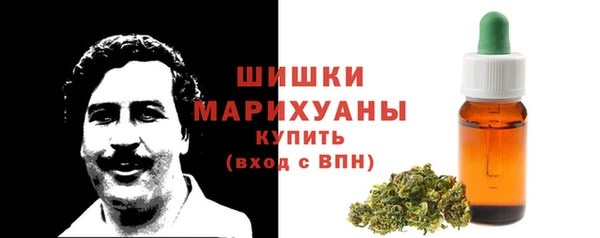 индика Горняк