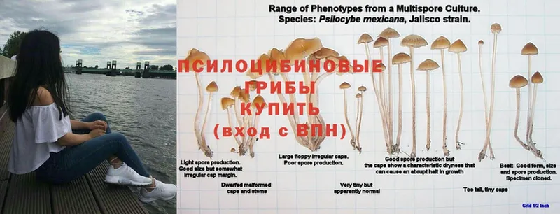 Галлюциногенные грибы Magic Shrooms  где купить наркоту  даркнет состав  Нижняя Салда 